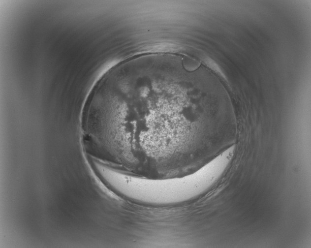 X0000067461087200604101127