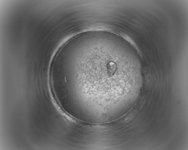 X0000067461088200604101127