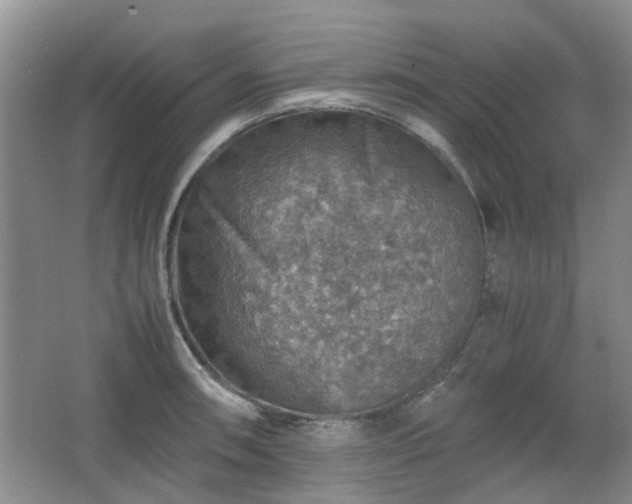 X0000067461090200604101126