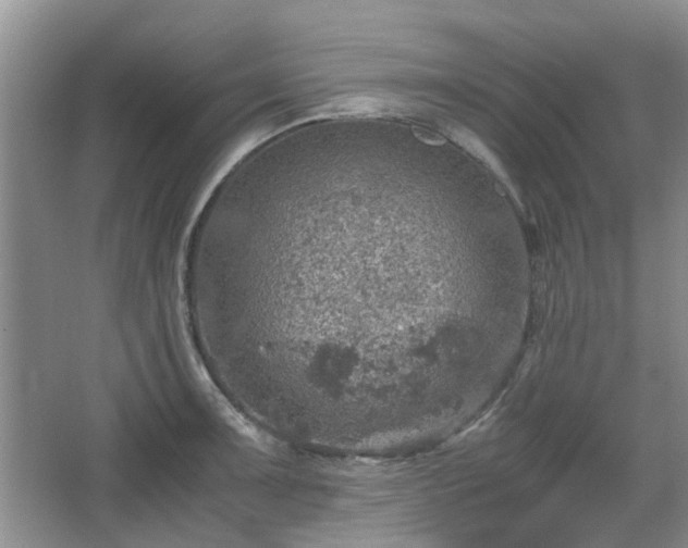 X0000067461091200604101126