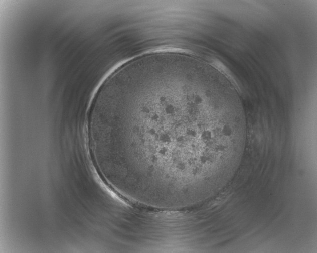 X0000067461092200604101126