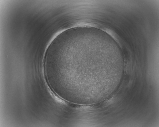 X0000067461094200604101126