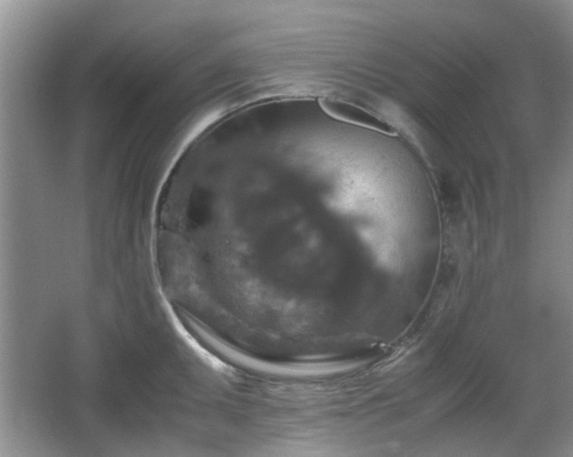 X0000067461095200604101126