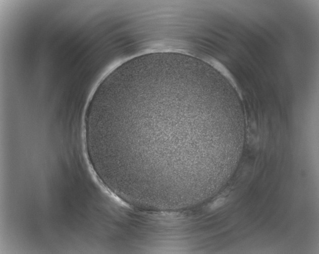 X0000067461096200604101126