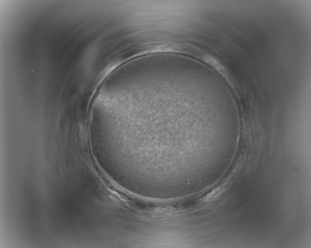 X0000067461097200604101126