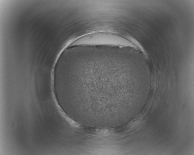 X0000067461099200604101126