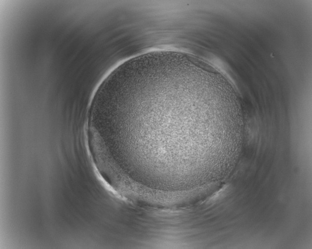 X0000067461100200604101126