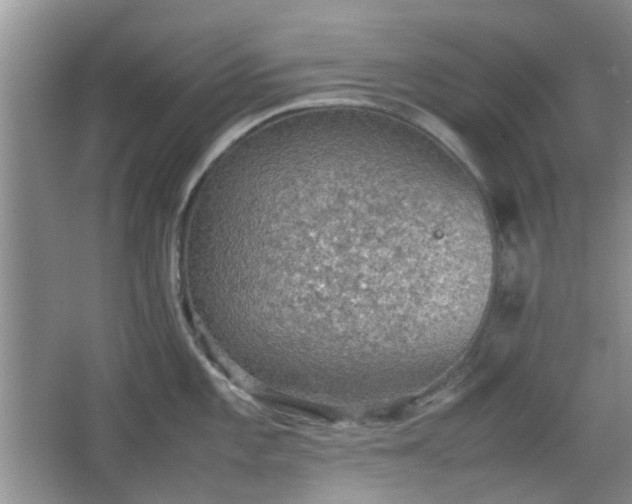 X0000067461101200604101126