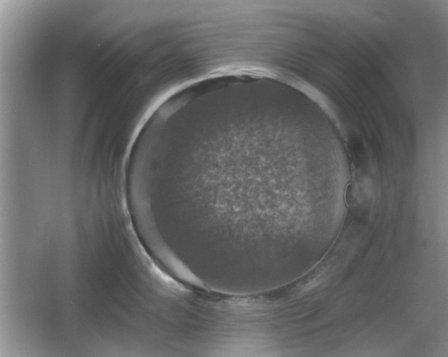 X0000067461102200604101126