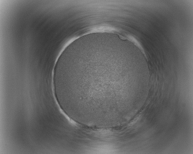 X0000067461103200604101126