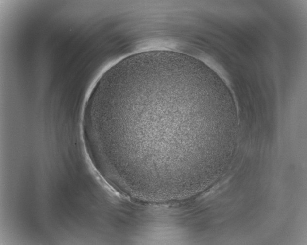 X0000067461104200604101126