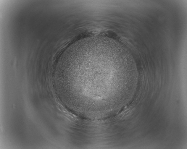 X0000067461105200604101125