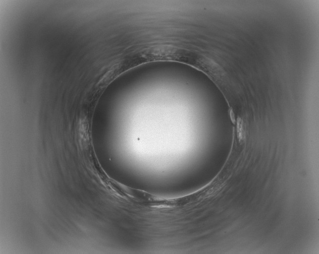 X0000067461107200604101125