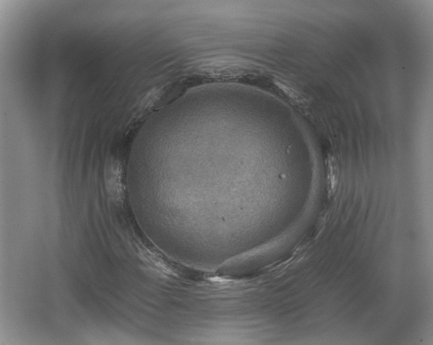 X0000067461108200604101125