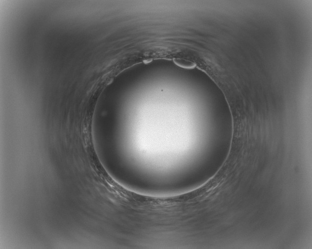 X0000067461109200604101126