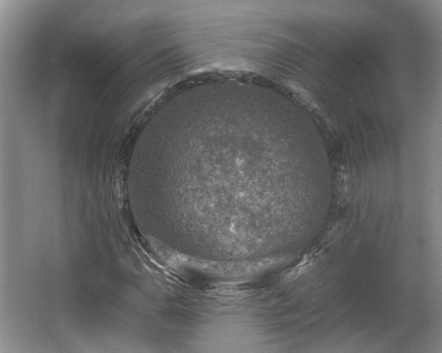 X0000067461110200604101126