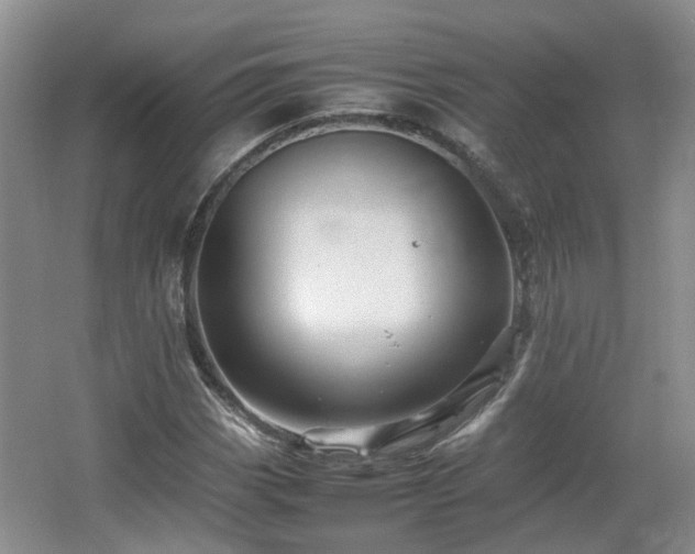 X0000067461113200604101126