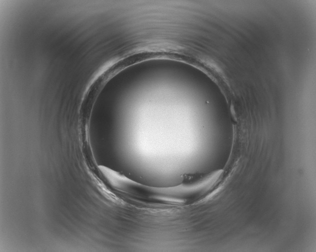 X0000067461114200604101126