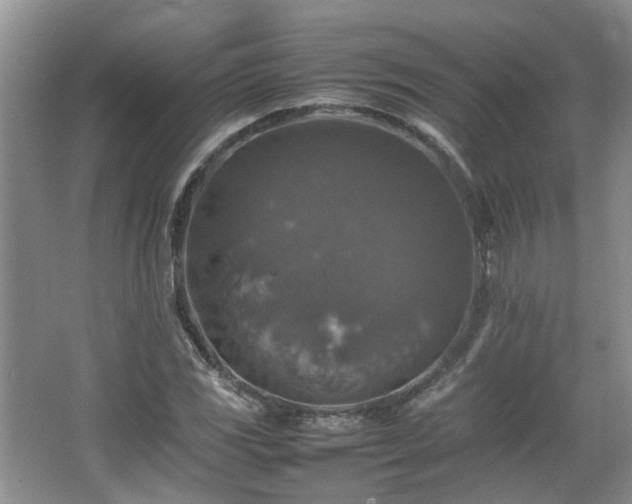 X0000067461117200604101126