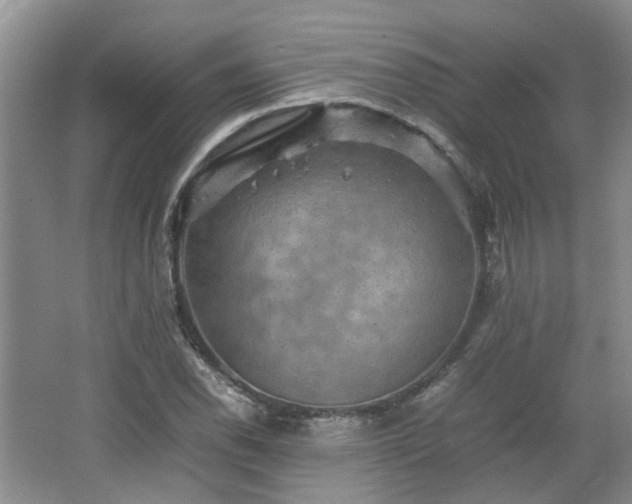 X0000067461118200604101126