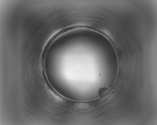 X0000067461119200604101126