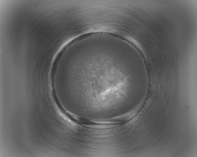 X0000067461120200604101126