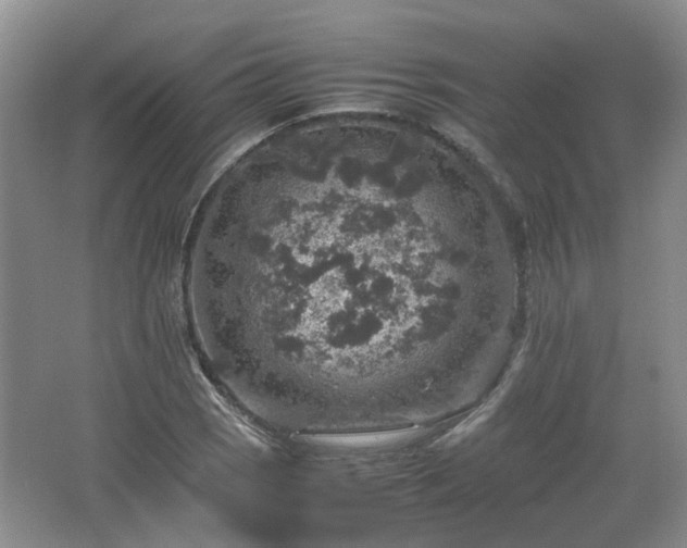 X0000067461121200604101126