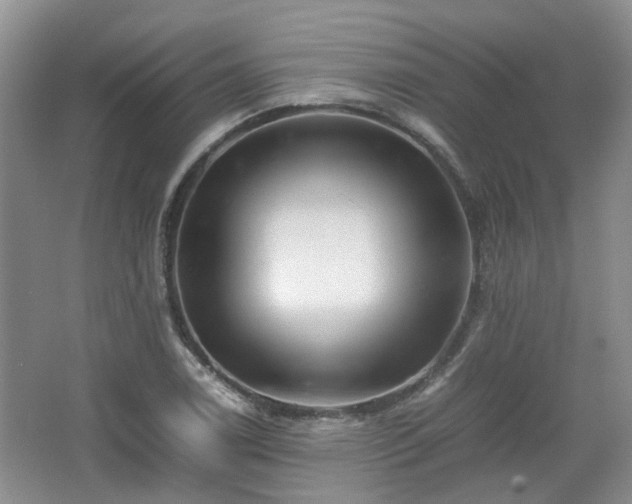 X0000067461122200604101126