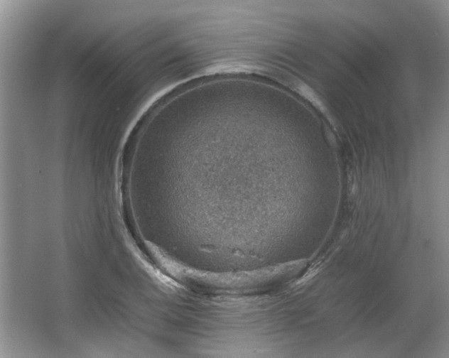 X0000067461124200604101126