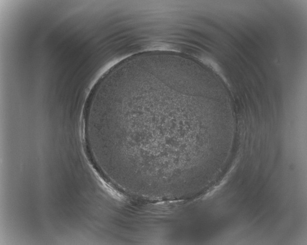 X0000067461125200604101126