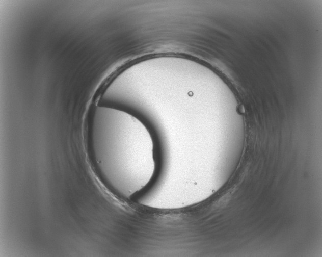 X0000067461126200604101126