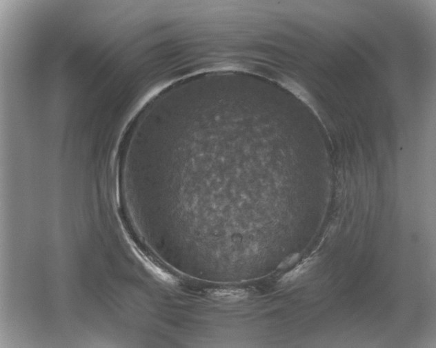 X0000067461127200604101126