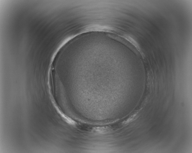 X0000067461128200604101126