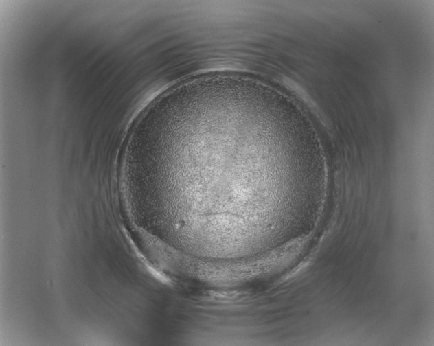 X0000067461129200604101126