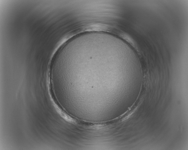 X0000067461130200604101126