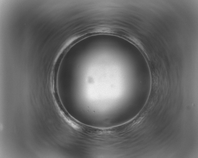 X0000067461131200604101126