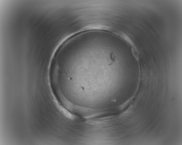 X0000067461132200604101126