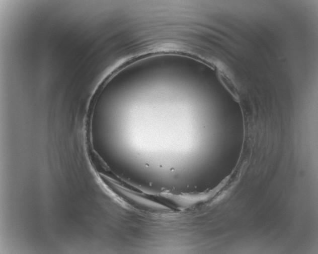 X0000067461134200604101126