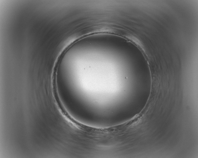 X0000067461135200604101126