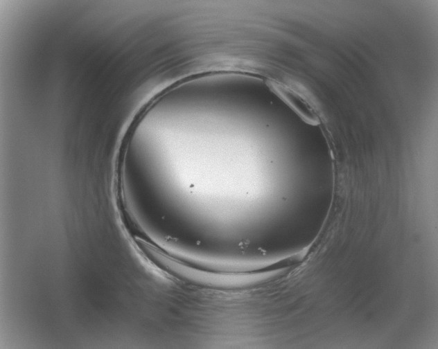 X0000067461136200604101126