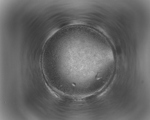 X0000067461137200604101126