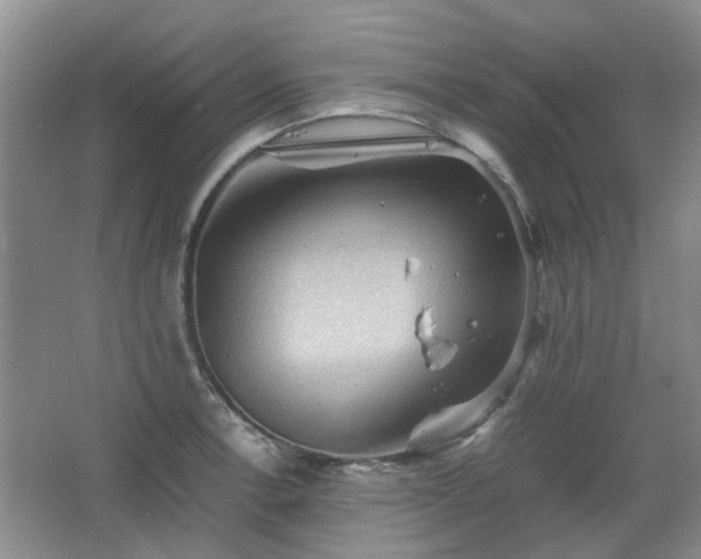 X0000067461138200604101126