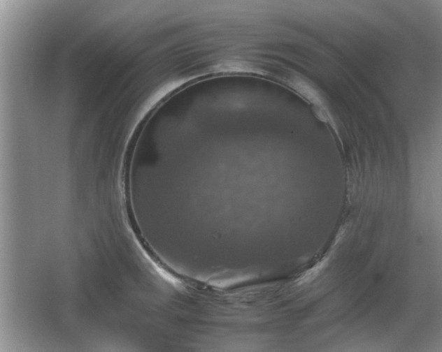 X0000067461141200604101126