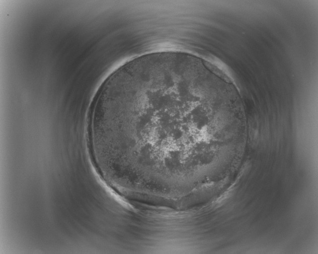 X0000067461142200604101126