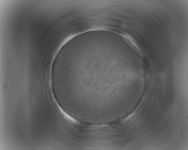 X0000067461143200604101126