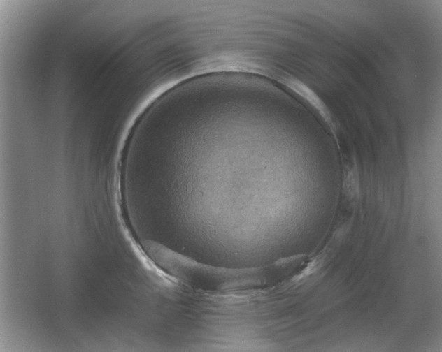 X0000067461144200604101126