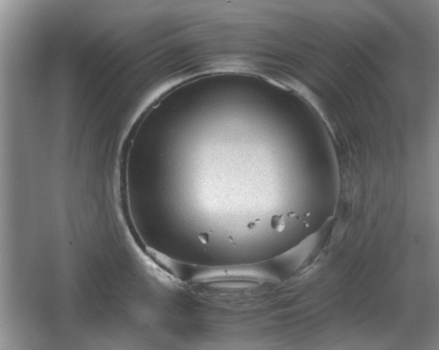 X0000067461147200604101126