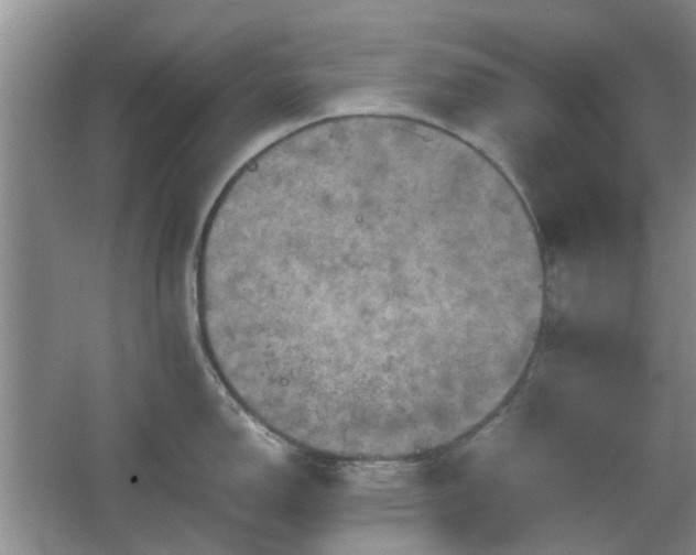 X0000067461150200604101126