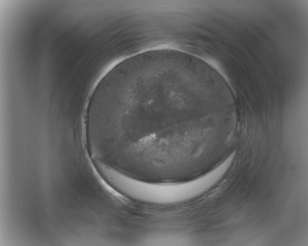 X0000067461151200604101126