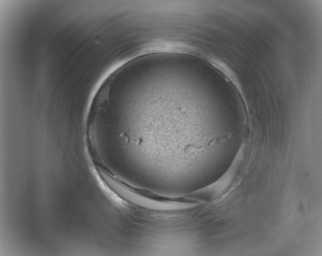 X0000067461152200604101126